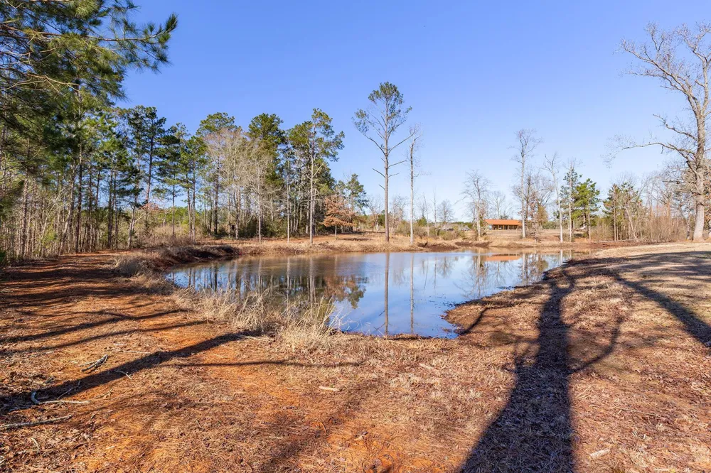 2731 Fm 225 Douglass, TX 75943
