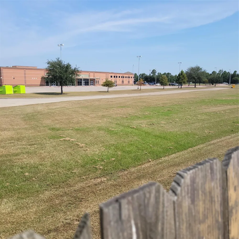 21410 Avalon Queen Drive Spring, TX 77379