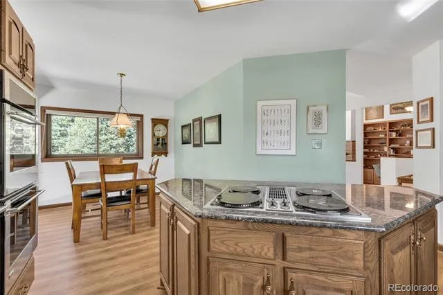 21556 Spring Creek Road Buffalo Creek, CO 80425