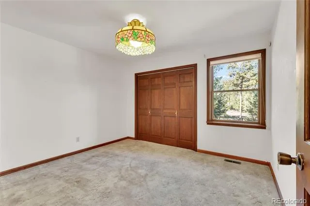 21556 Spring Creek Road Buffalo Creek, CO 80425