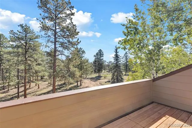 21556 Spring Creek Road Buffalo Creek, CO 80425