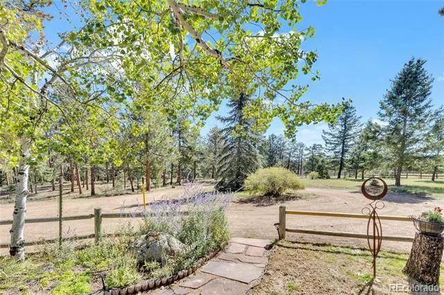 21556 Spring Creek Road Buffalo Creek, CO 80425