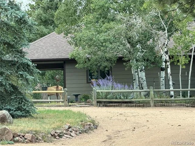 21556 Spring Creek Road Buffalo Creek, CO 80425