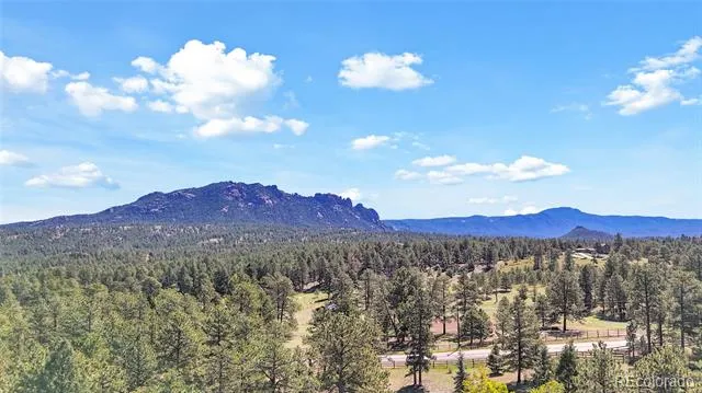21556 Spring Creek Road Buffalo Creek, CO 80425