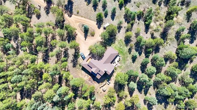 21556 Spring Creek Road Buffalo Creek, CO 80425