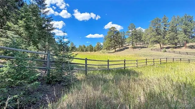 21556 Spring Creek Road Buffalo Creek, CO 80425