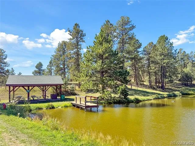 21556 Spring Creek Road Buffalo Creek, CO 80425