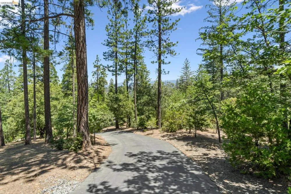 11335 Bridal Veil Groveland, CA 95321