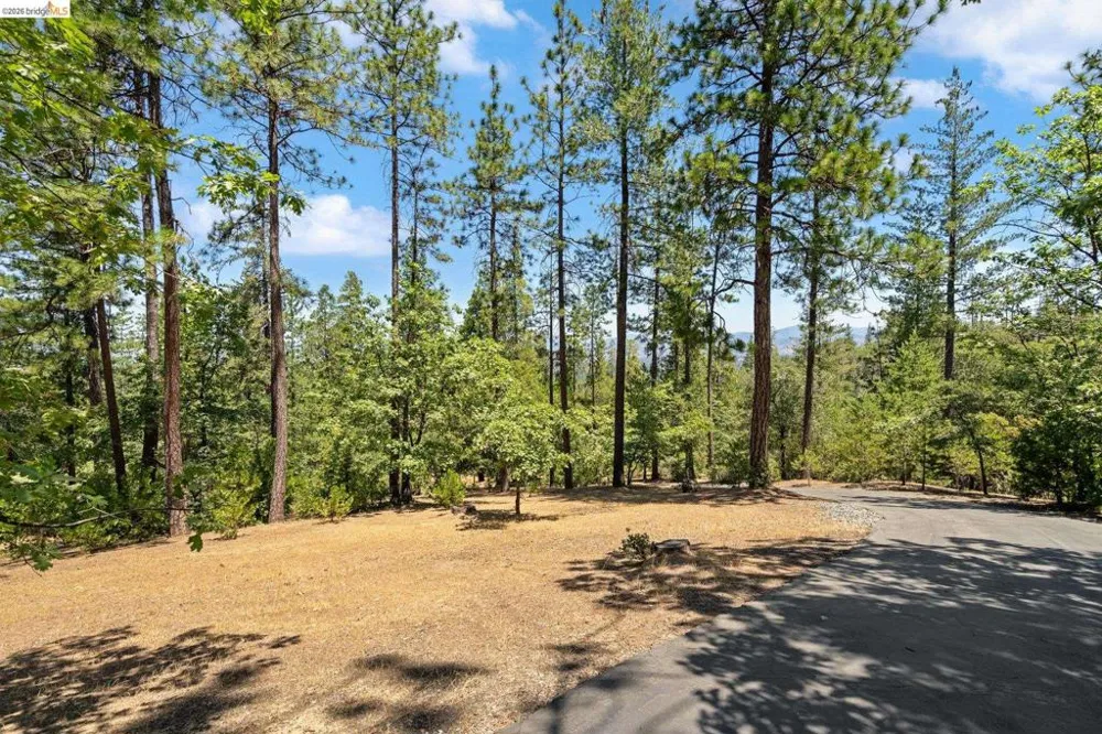 11335 Bridal Veil Groveland, CA 95321