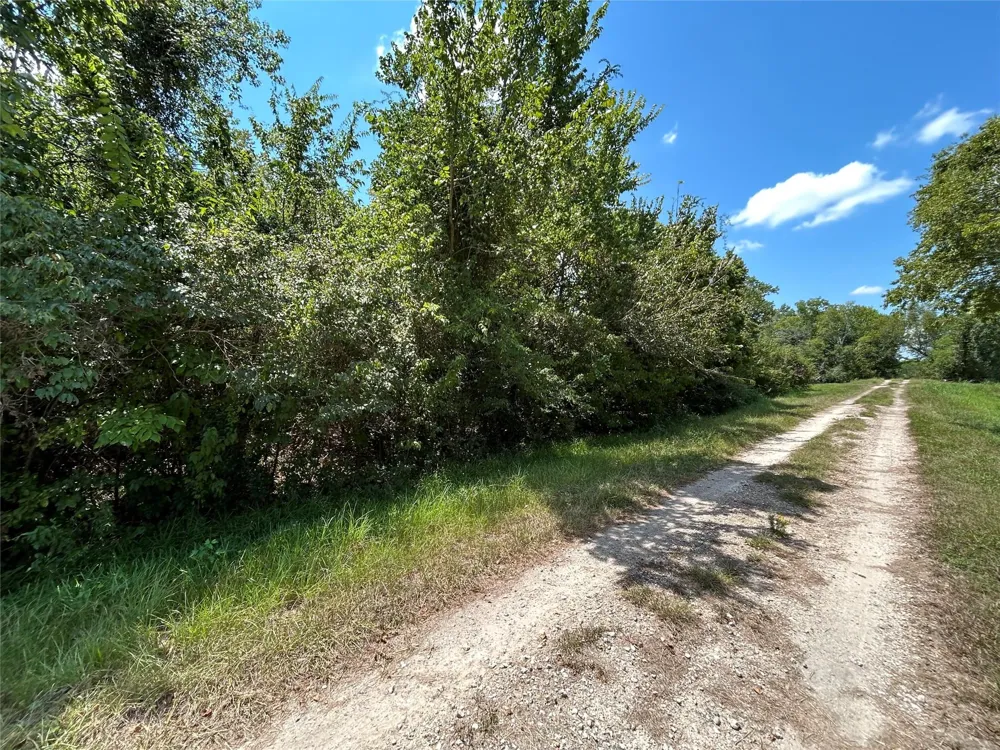 709 Pollard Drive Manvel, TX 77578