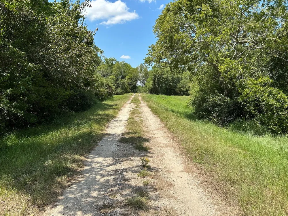 709 Pollard Drive Manvel, TX 77578
