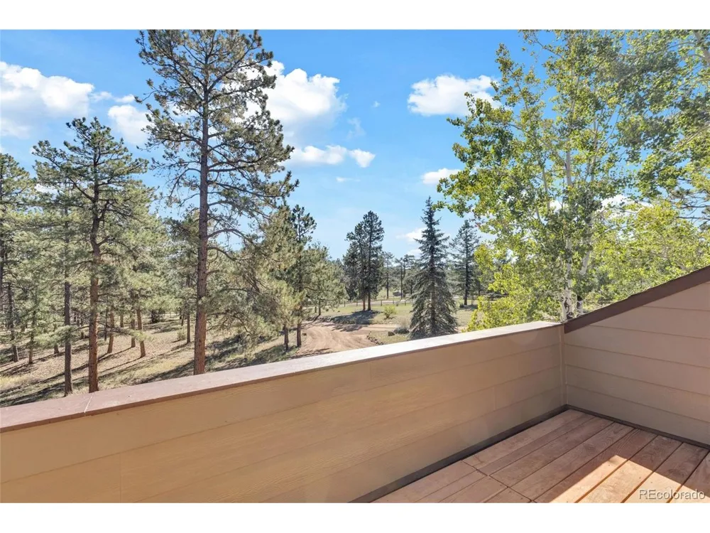 21556 Spring Creek Road Buffalo Creek, CO 80425