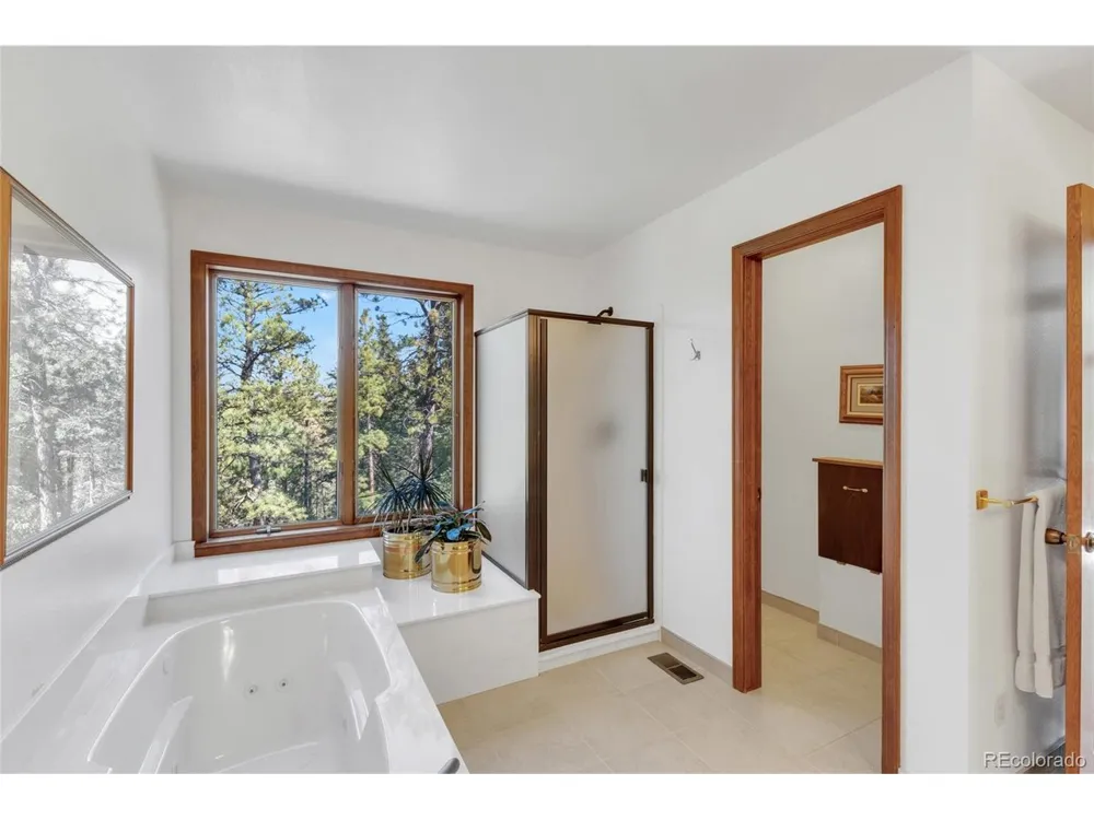 21556 Spring Creek Road Buffalo Creek, CO 80425
