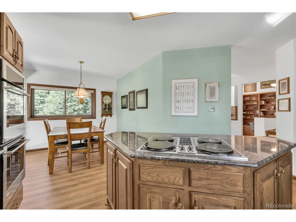 21556 Spring Creek Road Buffalo Creek, CO 80425