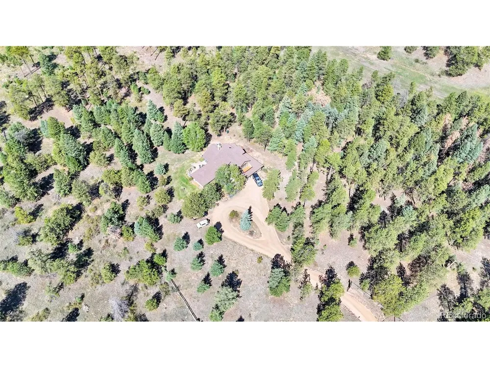 21556 Spring Creek Road Buffalo Creek, CO 80425