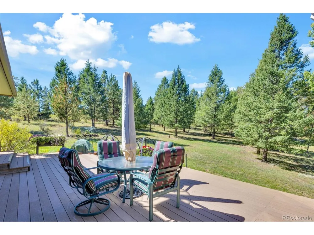21556 Spring Creek Road Buffalo Creek, CO 80425