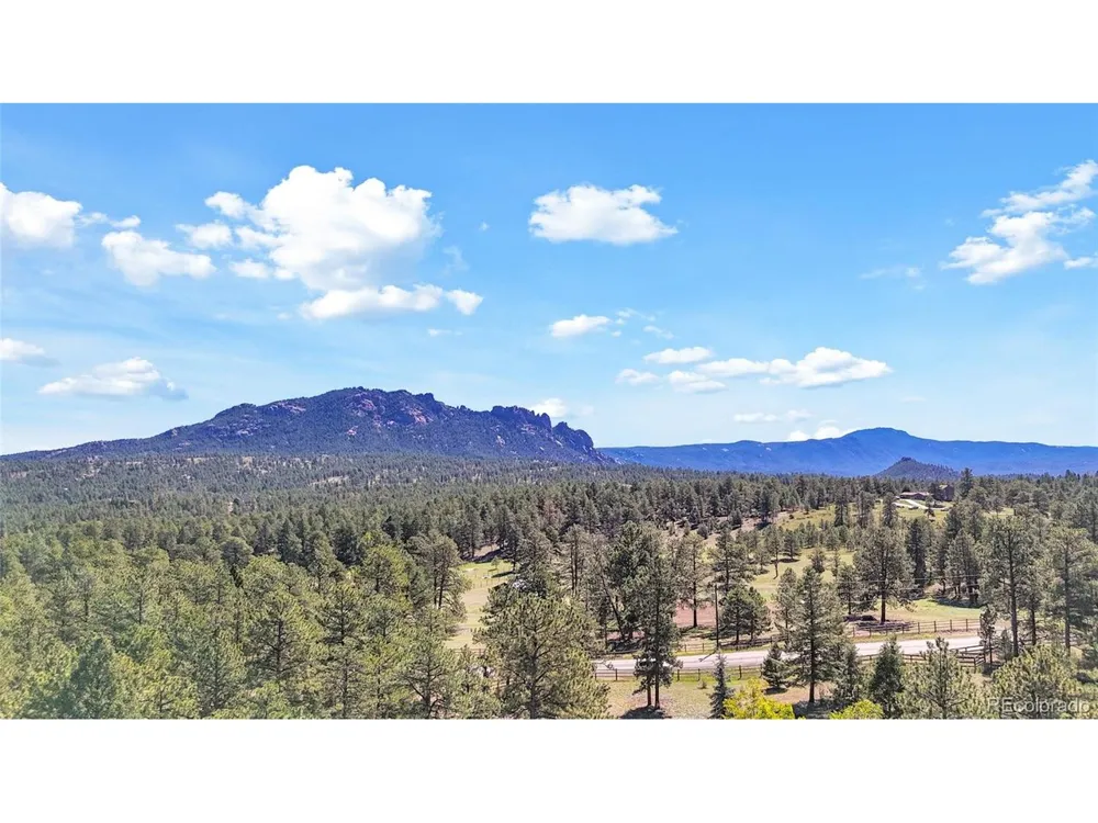 21556 Spring Creek Road Buffalo Creek, CO 80425