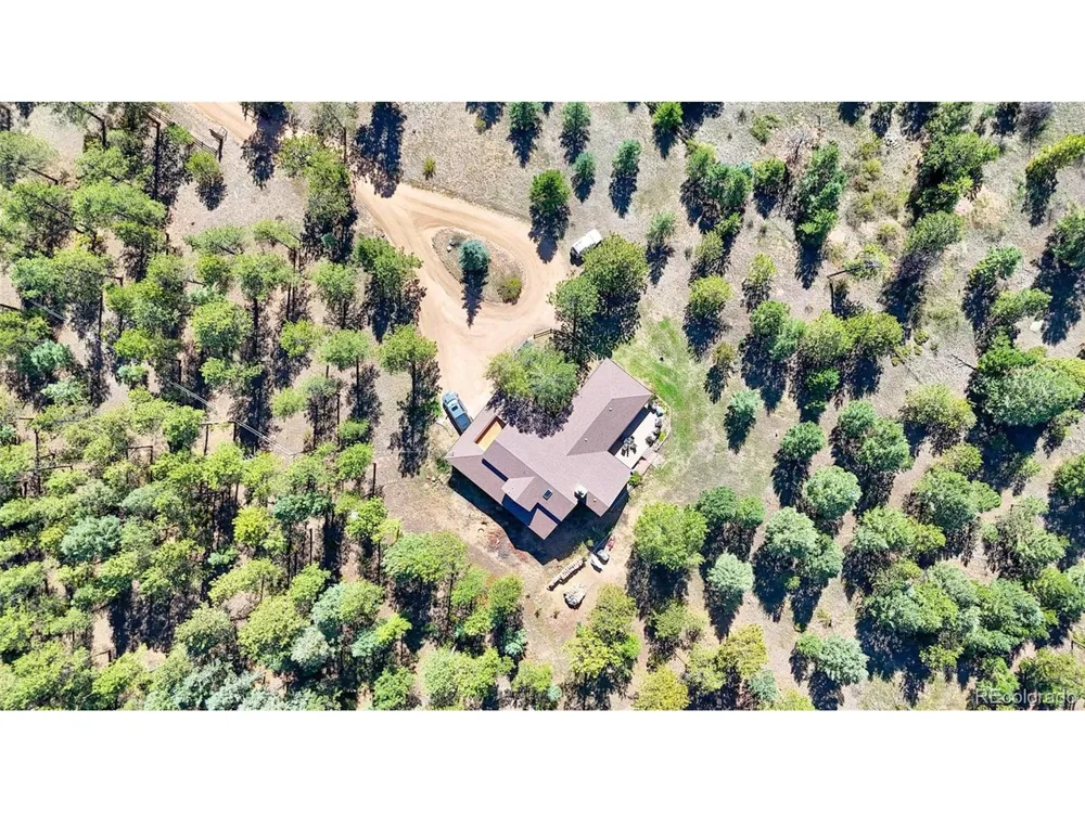 21556 Spring Creek Road Buffalo Creek, CO 80425