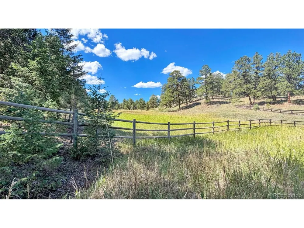 21556 Spring Creek Road Buffalo Creek, CO 80425