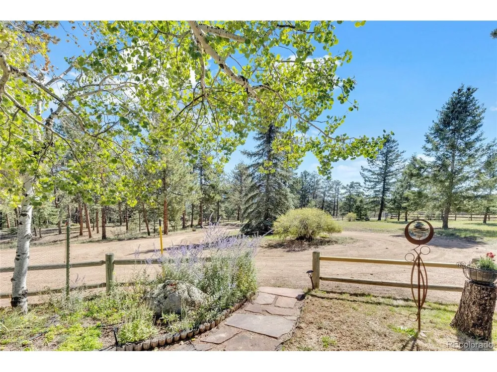 21556 Spring Creek Road Buffalo Creek, CO 80425