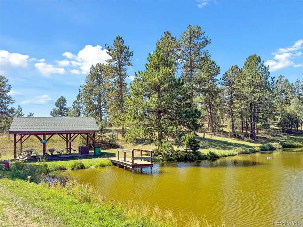 21556 Spring Creek Road Buffalo Creek, CO 80425