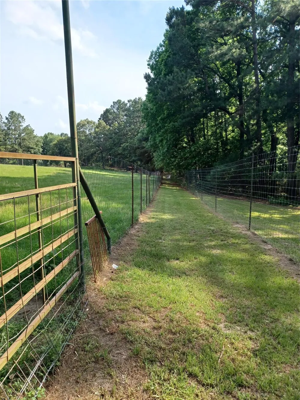 1335 Cr 131 Centerville, TX 75833