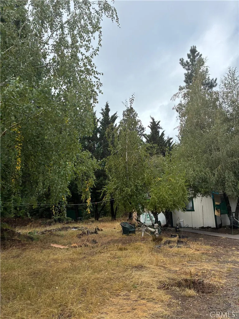 4625 Plum  Ave Mount Shasta, CA 96067