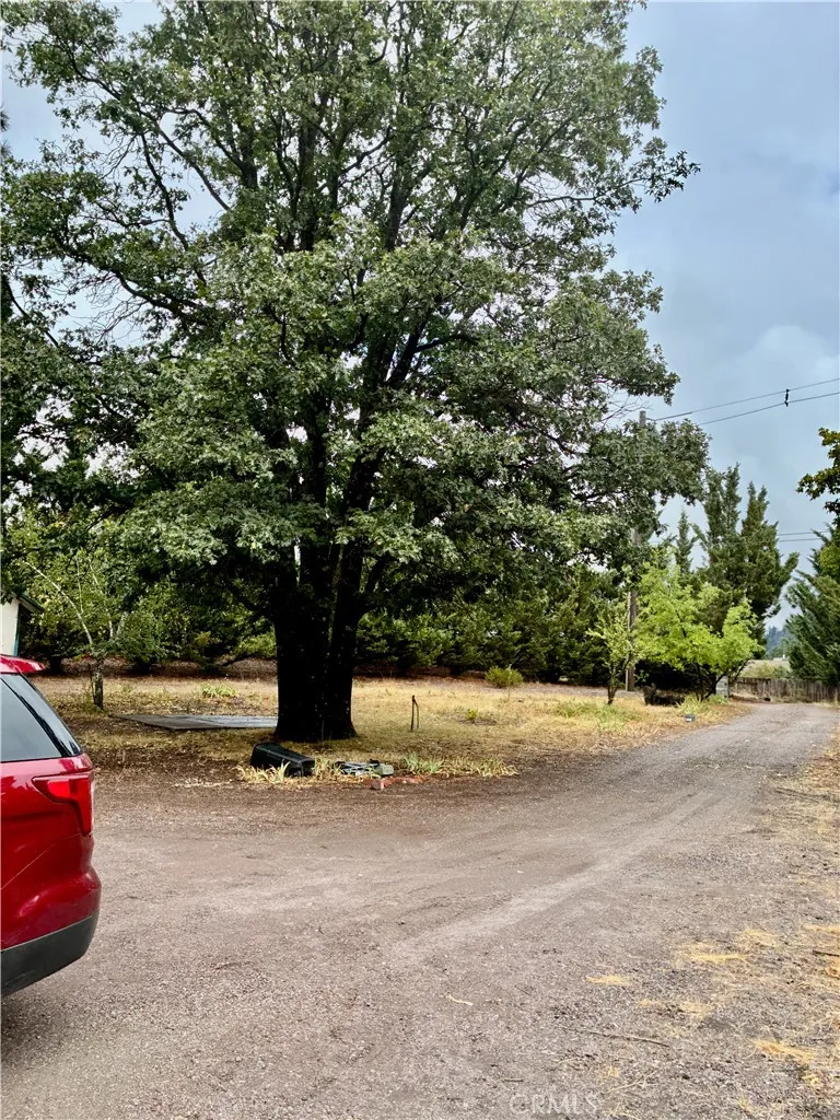 4625 Plum  Ave Mount Shasta, CA 96067