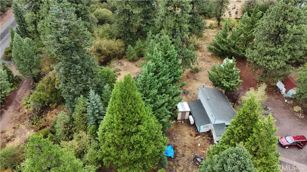 4625 Plum  Ave Mount Shasta, CA 96067