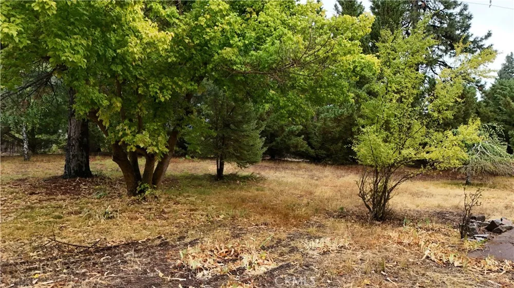 4625 Plum  Ave Mount Shasta, CA 96067
