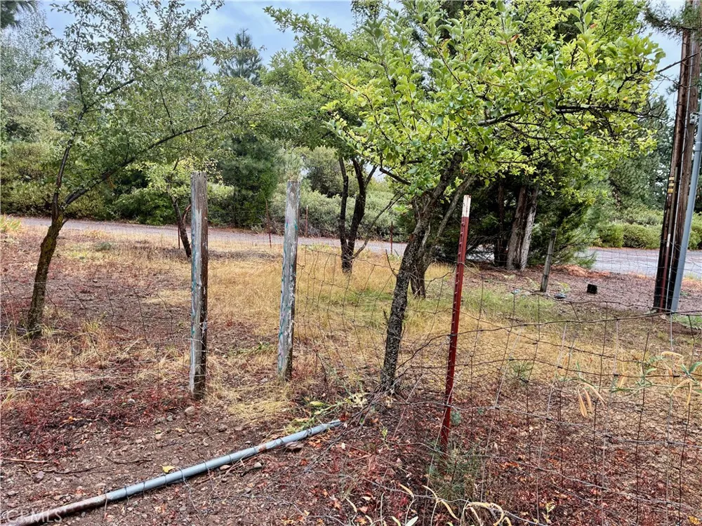 4625 Plum  Ave Mount Shasta, CA 96067
