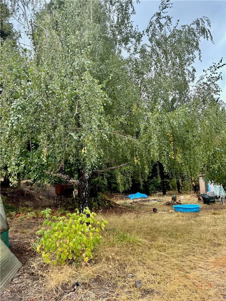 4625 Plum  Ave Mount Shasta, CA 96067