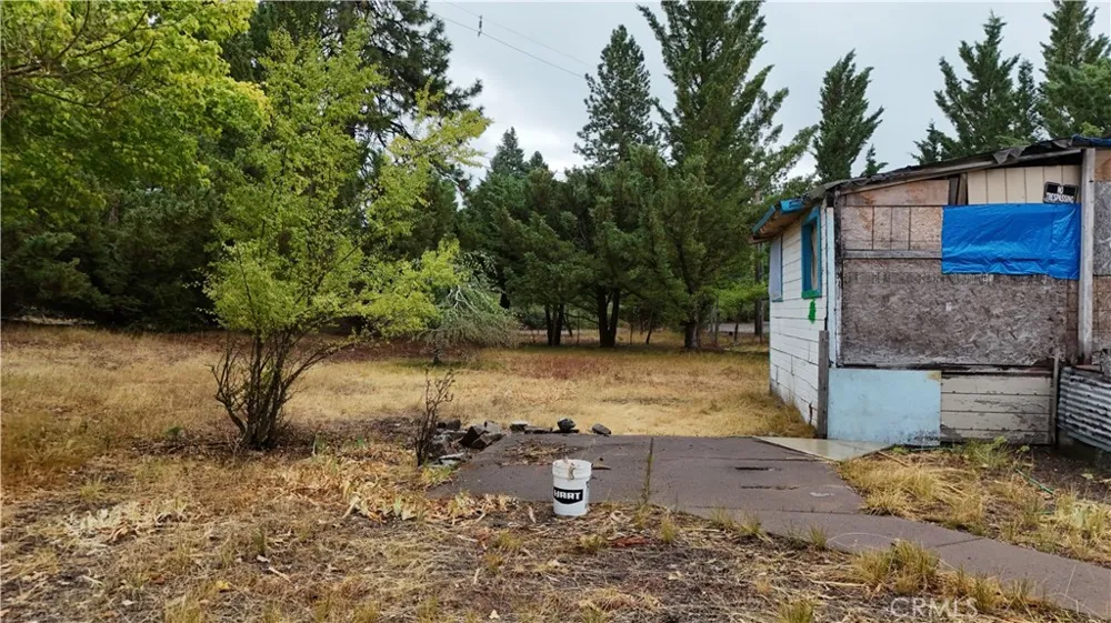 4625 Plum  Ave Mount Shasta, CA 96067