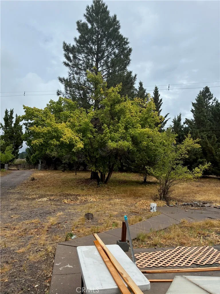 4625 Plum  Ave Mount Shasta, CA 96067