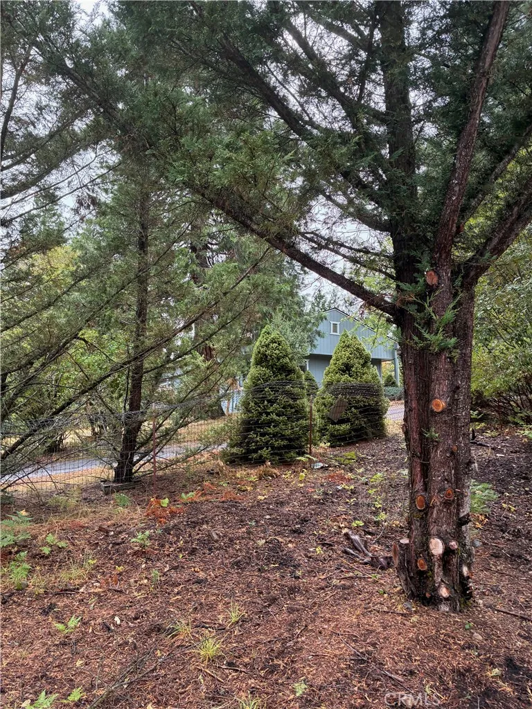 4625 Plum  Ave Mount Shasta, CA 96067
