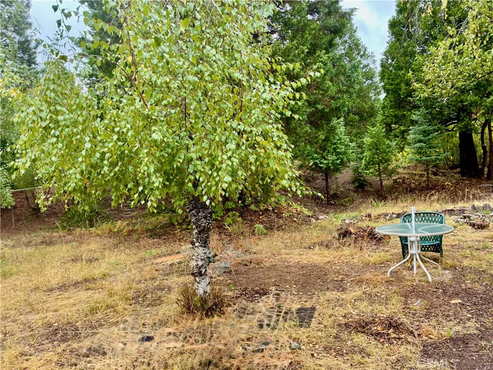 4625 Plum  Ave Mount Shasta, CA 96067