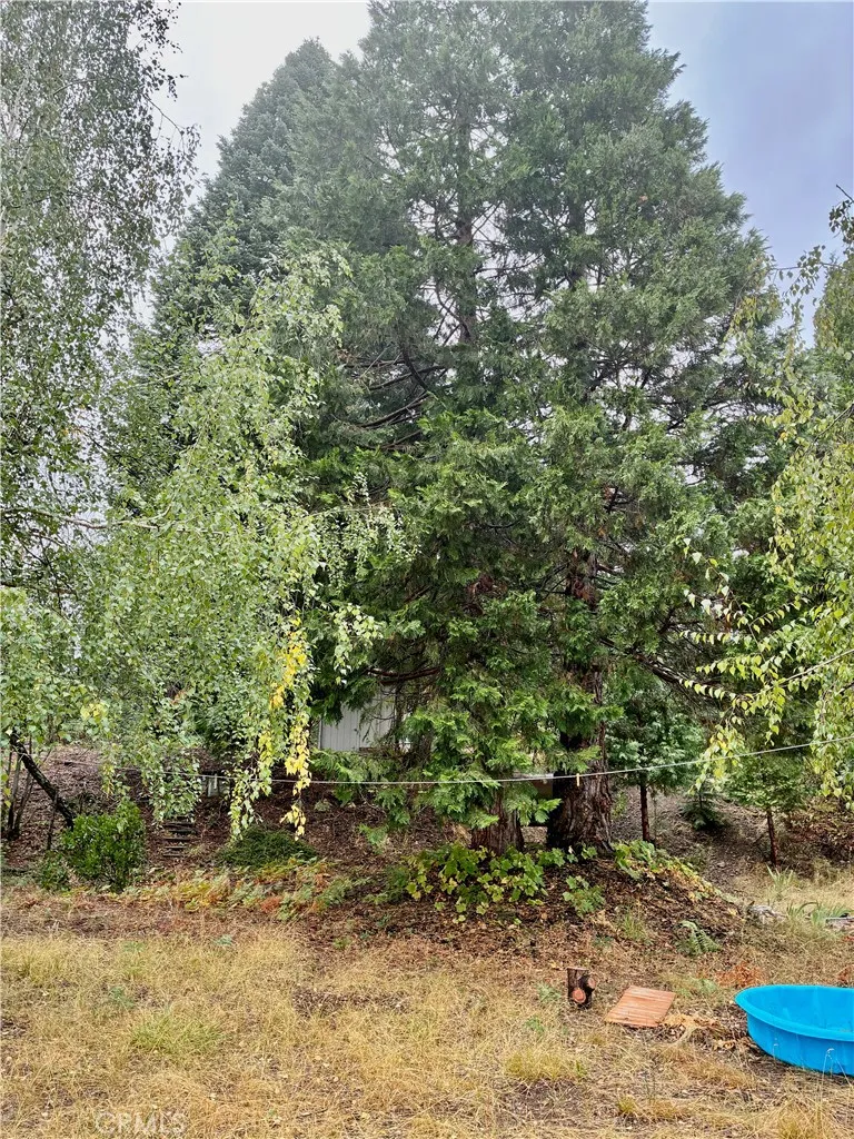 4625 Plum  Ave Mount Shasta, CA 96067