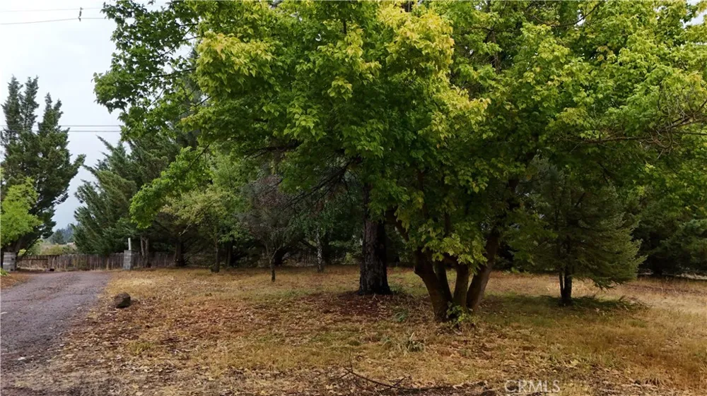 4625 Plum  Ave Mount Shasta, CA 96067
