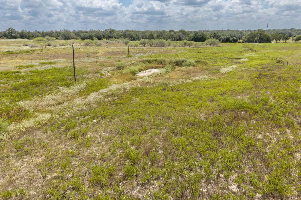 2195 Mule Creek Road Harwood, TX 78632
