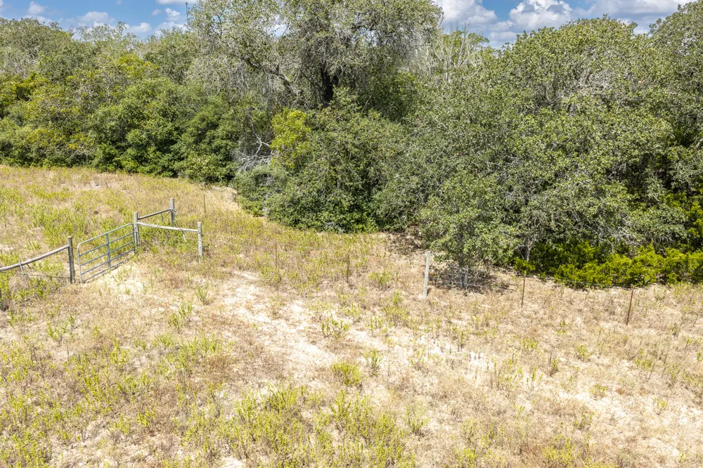 2195 Mule Creek Road Harwood, TX 78632