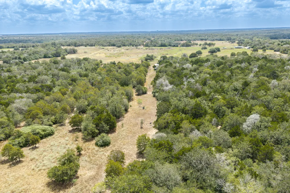 2195 Mule Creek Road Harwood, TX 78632