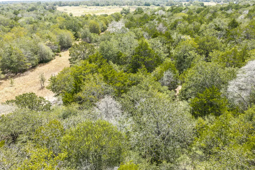 2195 Mule Creek Road Harwood, TX 78632