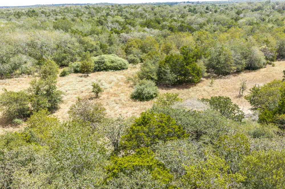 2195 Mule Creek Road Harwood, TX 78632