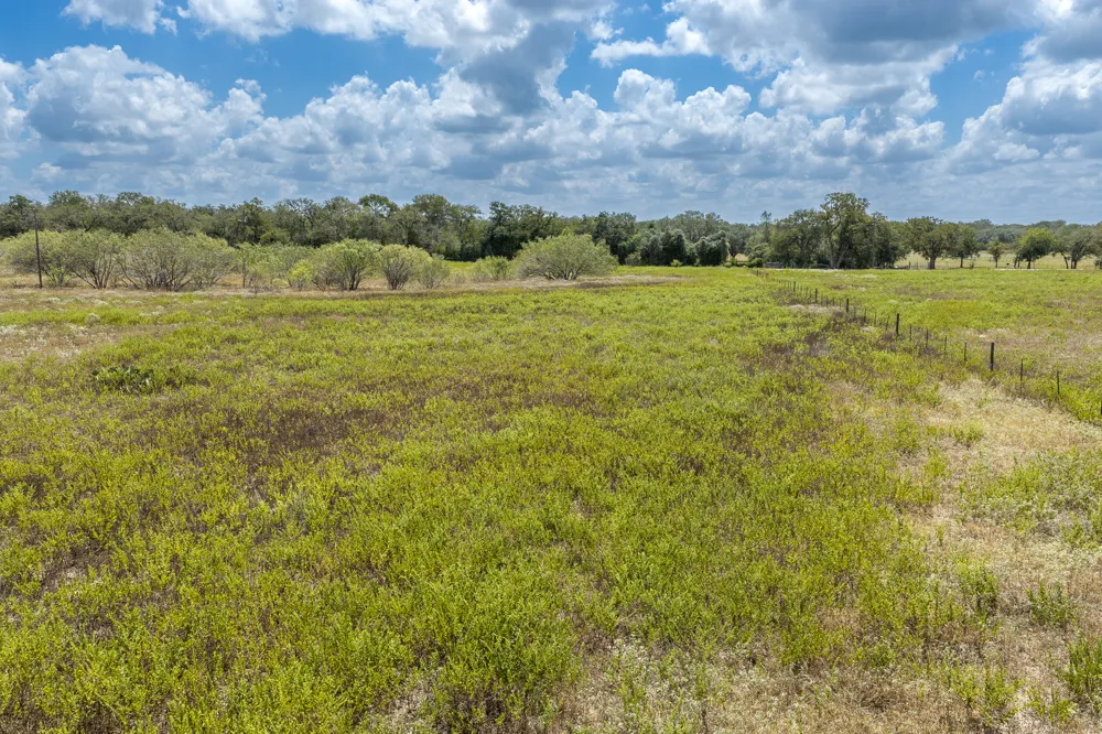 2195 Mule Creek Road Harwood, TX 78632