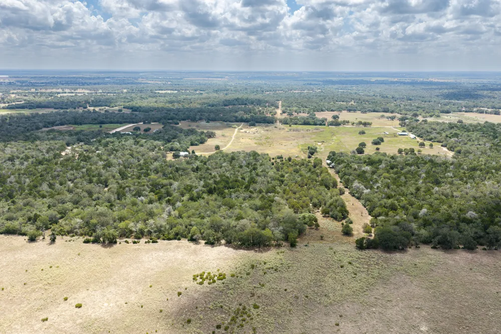 2195 Mule Creek Road Harwood, TX 78632