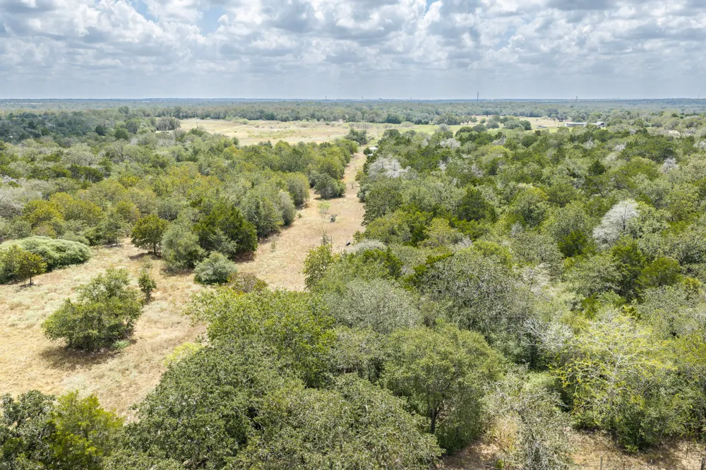 2195 Mule Creek Road Harwood, TX 78632