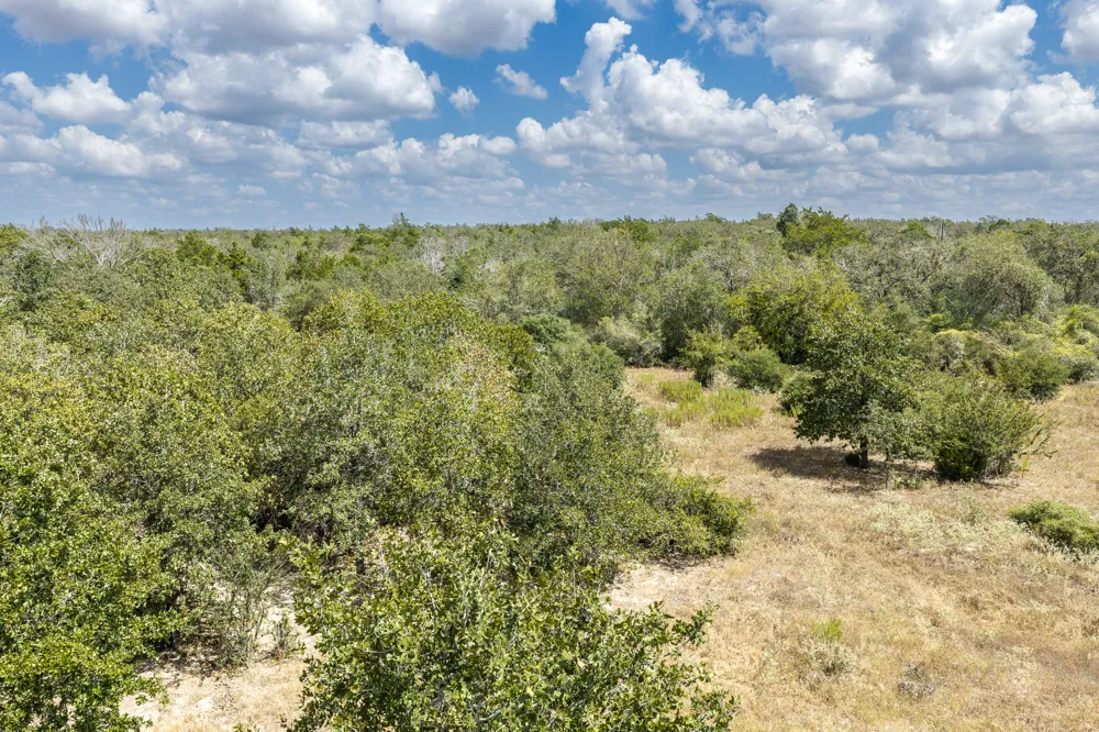 2195 Mule Creek Road Harwood, TX 78632