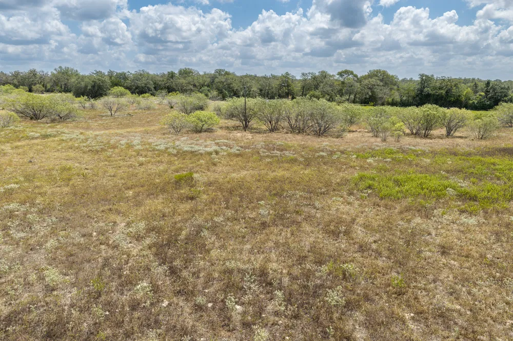 2195 Mule Creek Road Harwood, TX 78632