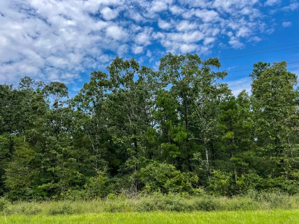 36 Highway 94 Road Groveton, TX 75845