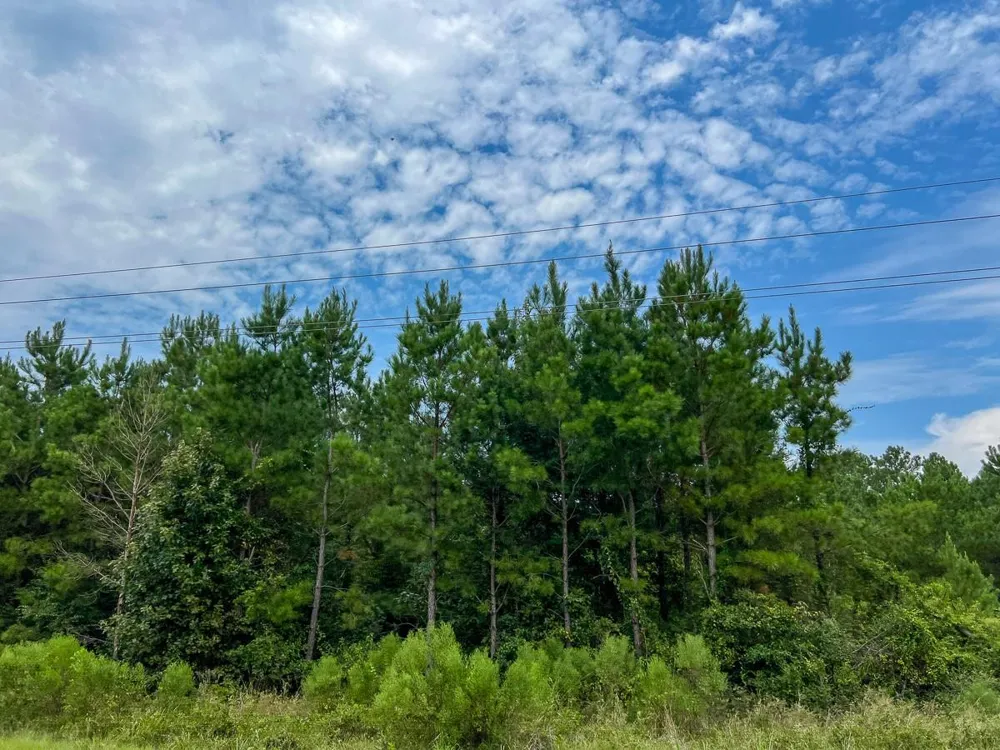 36 Highway 94 Road Groveton, TX 75845